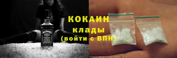 дживик Лагань