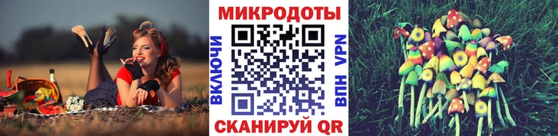 где купить наркотик  Касимов  Псилоцибиновые грибы MAGIC MUSHROOMS 