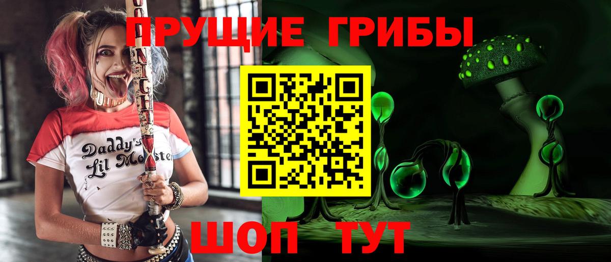 Псилоцибиновые грибы мицелий Касимов